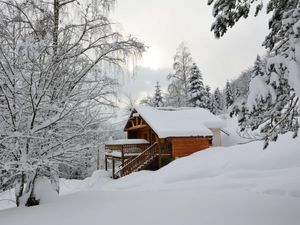 Ferienhaus für 4 Personen (50 m²) in La Bresse