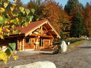 Ferienhaus für 12 Personen (140 m²) in La Bresse