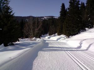 19920311-Ferienhaus-16-La Bresse-300x225-5