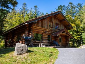 Ferienhaus für 14 Personen (150 m²) in La Bresse