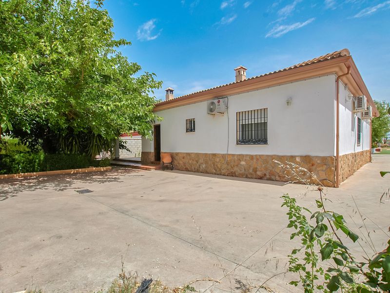 23755144-Ferienhaus-11-La Carlota-800x600-1