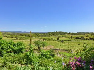 GardenSummer