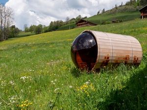 23107367-Ferienhaus-14-La Clusaz-300x225-5