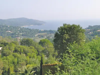 view-from-room