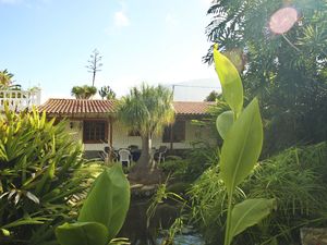 23700954-Ferienhaus-4-La Orotava-300x225-1