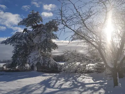 GardenWinter
