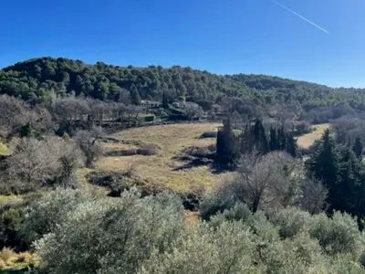 view-from-room