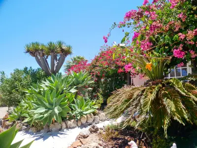 Ferienhaus für 3 Personen (42 m²) in La Sabinita 6/10