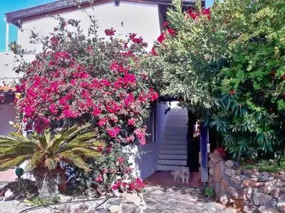 Ferienhaus für 3 Personen (42 m²) in La Sabinita 9/10