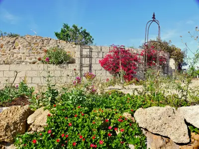 Ferienhaus für 3 Personen (54 m²) in La Sabinita 7/10