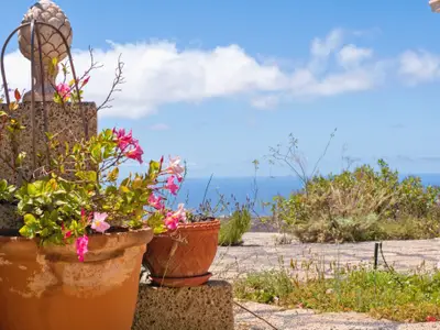 Ferienhaus für 3 Personen (42 m²) in La Sabinita 2/10