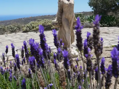 Ferienhaus für 3 Personen (42 m²) in La Sabinita 5/10