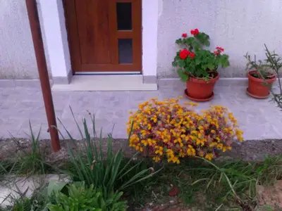 Ferienhaus für 2 Personen (30 m²) in Labin 2/10