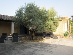 Die große Terrasse mit Olive