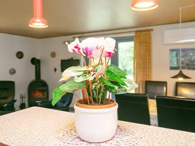 Indoor