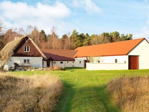 23529746-Ferienhaus-4-Læsø-300x225-4