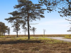 22461303-Ferienhaus-8-Læsø-300x225-4