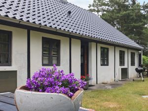 23468464-Ferienhaus-4-Læsø-300x225-2