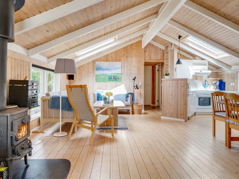 23865631-Ferienhaus-5-Læsø-800x600-1