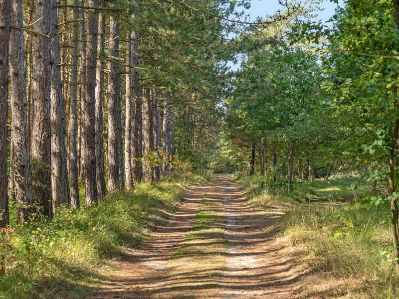 23864383-Ferienhaus-4-Læsø-800x600-2