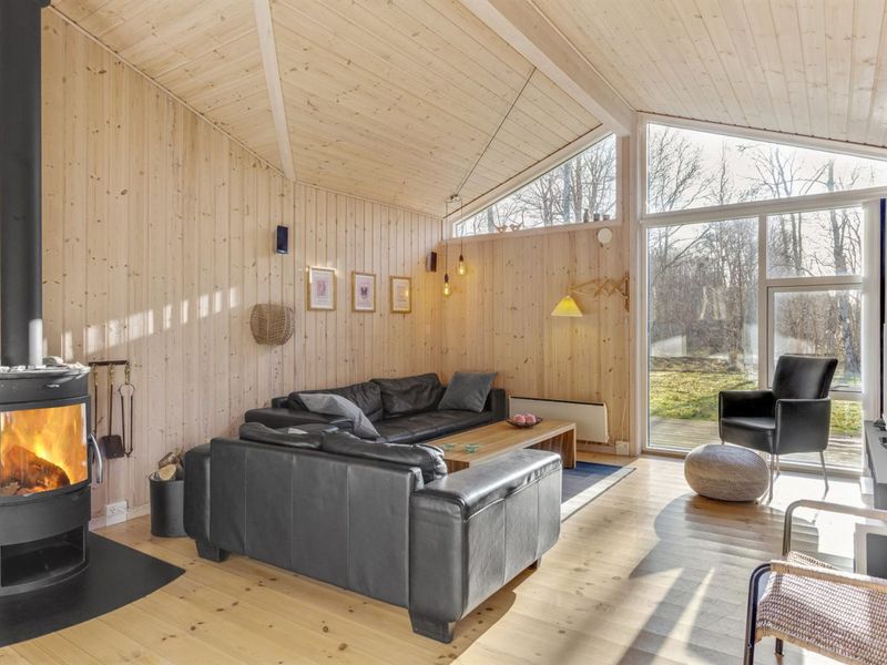 23865540-Ferienhaus-6-Læsø-800x600-0