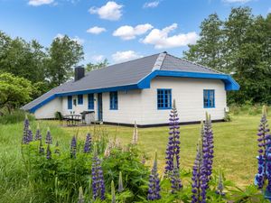 Ferienhaus für 6 Personen (112 m²) in Læsø