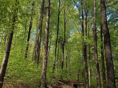 Wanderwege