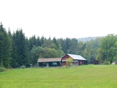 outside
