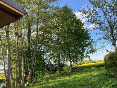 Ferienhaus für 3 Personen (50 m²) in Lalendorf 3/10