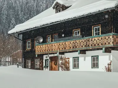 Ferienhaus für 10 Personen (180 m²) in Lammertal 3/10