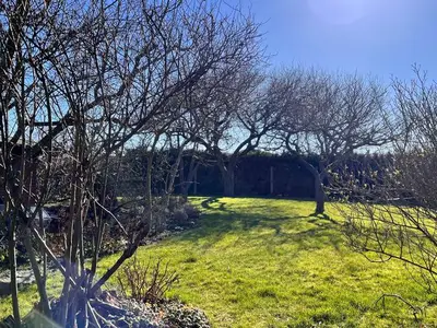 Ferienhaus für 2 Personen (52 m²) in Lancken-Granitz (Rügen) 7/10