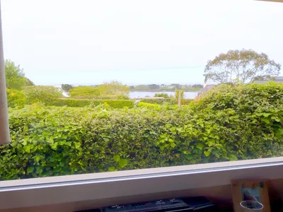 ViewSummer