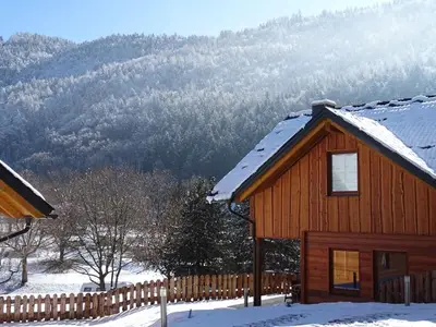 Ferienhaus für 5 Personen (40 m²) in Landskron 2/10