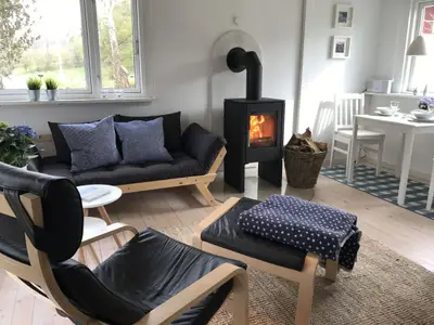 Wohnbereich mit Kamin und Essbereich