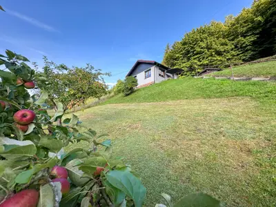 Außenseite Ferienhaus [Sommer]