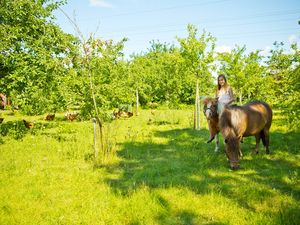 22019043-Ferienhaus-6-Langenhorn-300x225-4