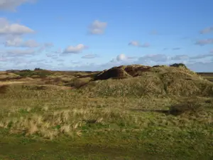 Ferienhaus für 5 Personen (75 m²) in Langeoog