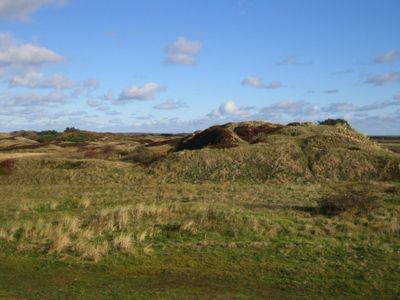 Ferienhaus für 5 Personen (75 m²) in Langeoog 3/10