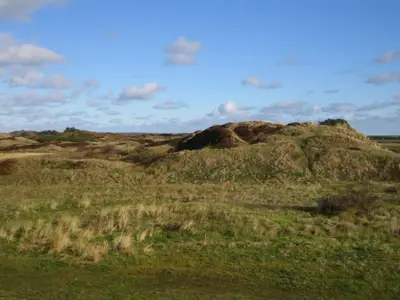Ferienhaus für 5 Personen (75 m²) in Langeoog 1/10