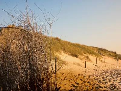 Ferienhaus für 6 Personen (88 m²) in Langeoog 9/10