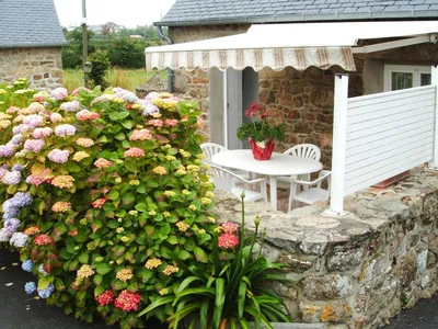 GardenSummer