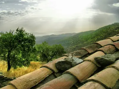 ViewSummer