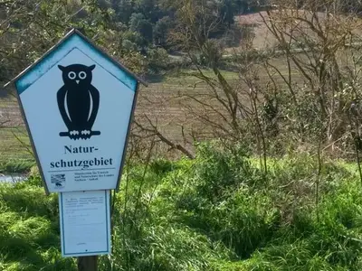 Ferienhaus für 4 Personen (81 m²) in Laucha (Sachsen-Anhalt) 8/10