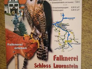 23914939-Ferienhaus-8-Lauenstein-300x225-5