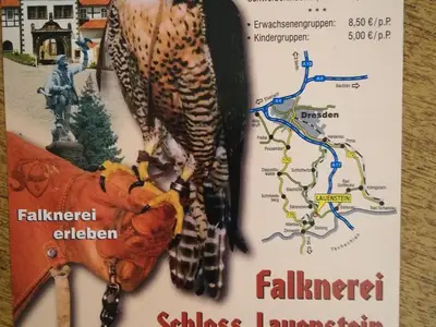 Ferienhaus für 8 Personen (140 m²) in Lauenstein 6/10