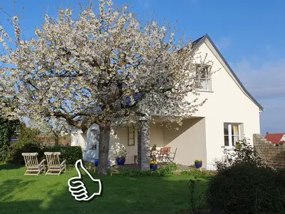 Ferienhaus für 5 Personen (95 m²) in Laußnitz 1/10