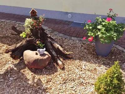 Ferienhaus für 3 Personen (50 m²) in Lauta 3/10
