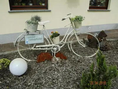 Ferienhaus für 3 Personen (50 m²) in Lauta 7/10