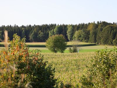 Ferienhaus für 2 Personen in Lauterhofen 8/10