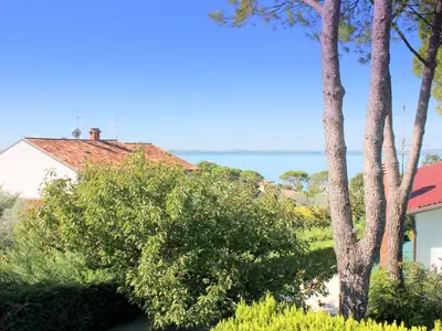 ViewSummer